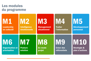 19951 formation pratiques manageriales 7 managers pme btp