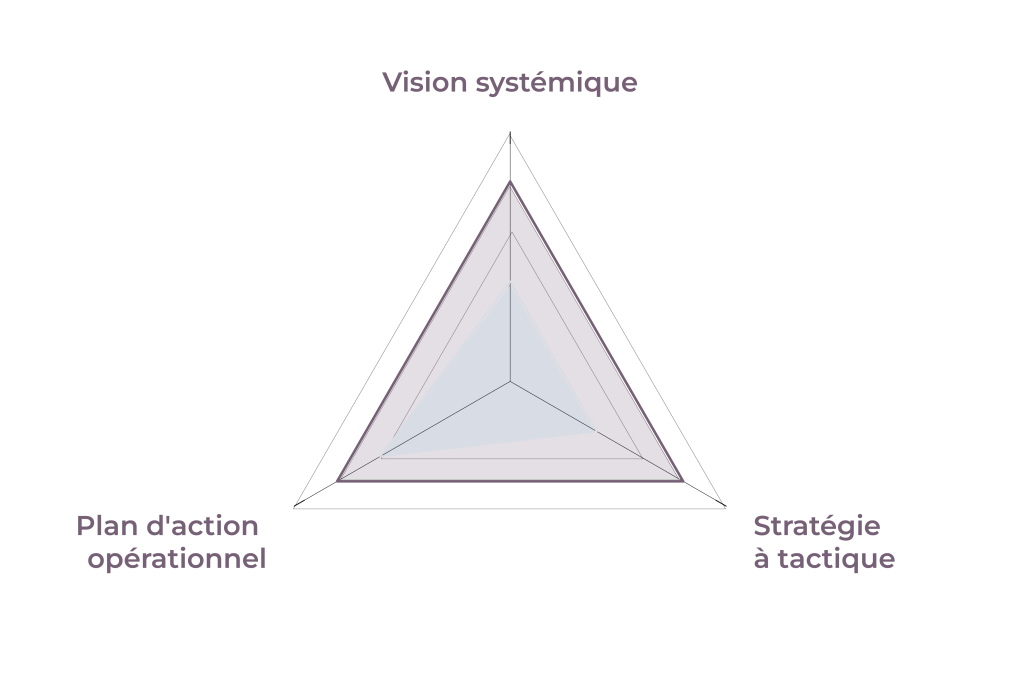 strategie plan action hassan 19951