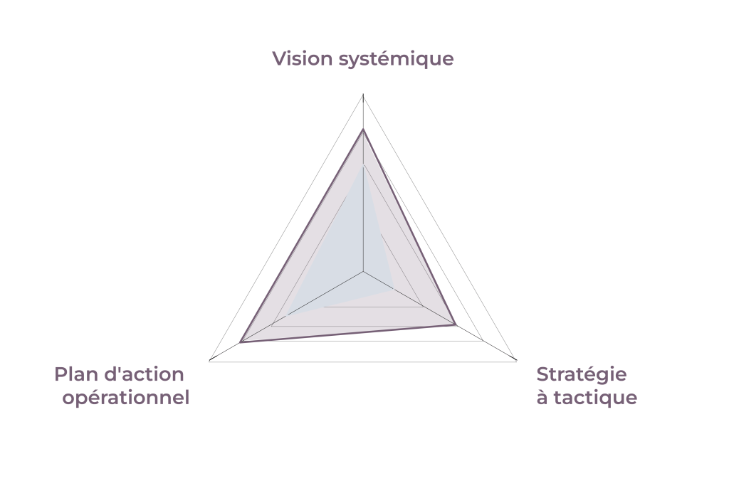 strategie plan action jeremy 19951