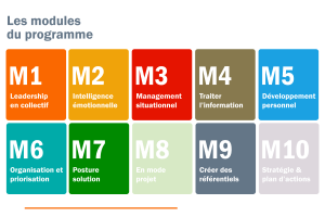 20950 formation pratiques manageriales 4 top managers