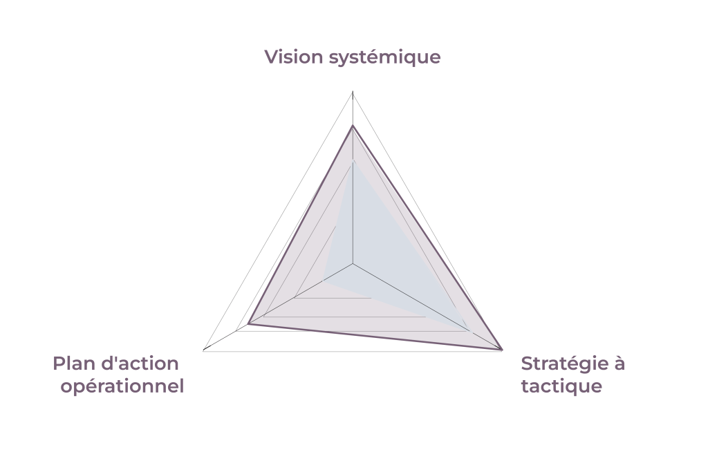 60124 formation dr1 strategie plan action