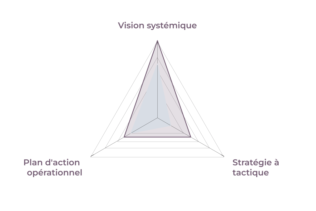 60124 formation dr2 strategie plan action
