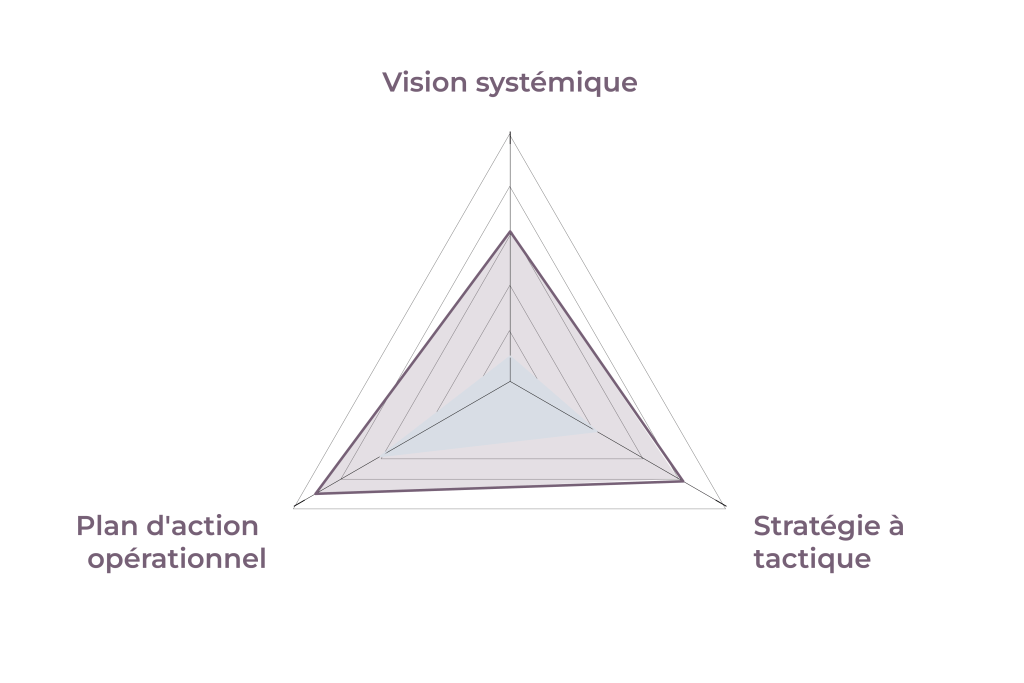 60124 formation drh strategie plan action